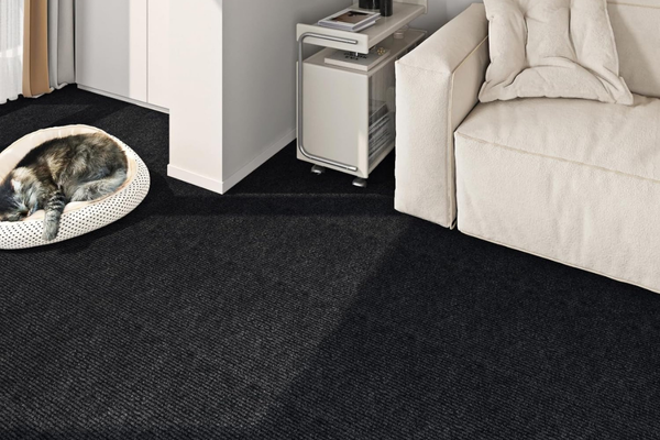 Plain-Carpet