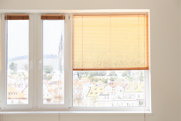 Window Blinds in Delhi
